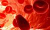 Анализ крови может определить риск выкидыша