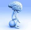 Для интелектуальной эффективности нужен уход за мозгом